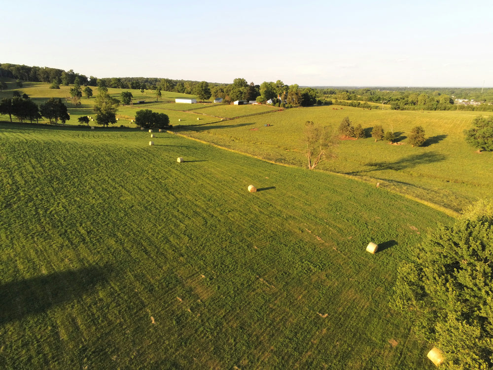 Professional Drone Surveys